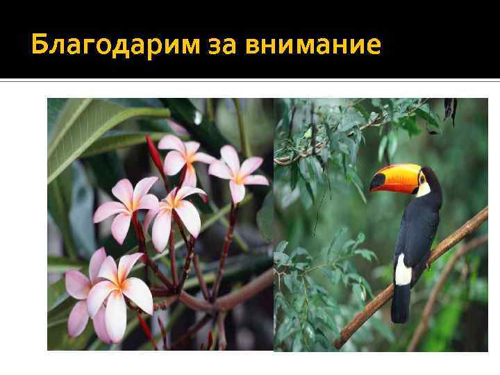 Благодарим за внимание 