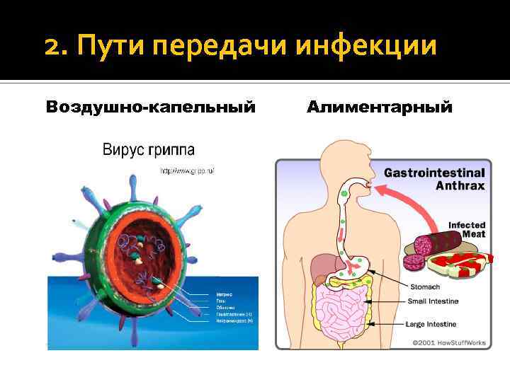 Карта сестринского процесса заполненная инфекция