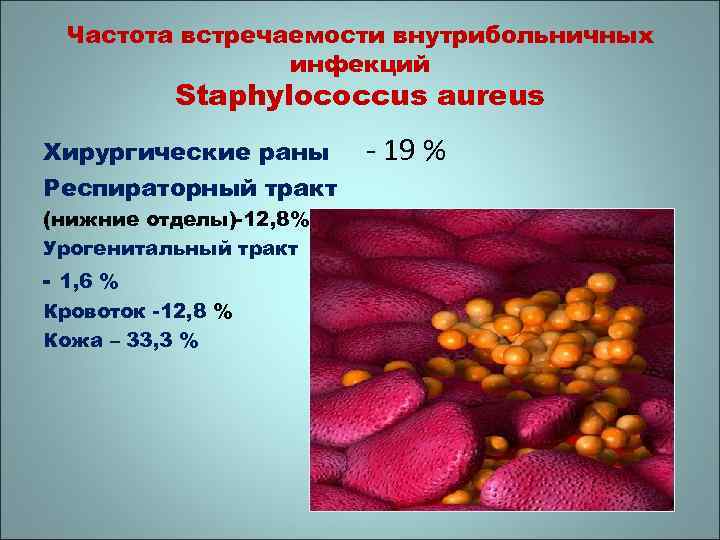 Частота встречаемости внутрибольничных инфекций Staphylococcus aureus Хирургические раны Респираторный тракт (нижние отделы)-12, 8% Урогенитальный