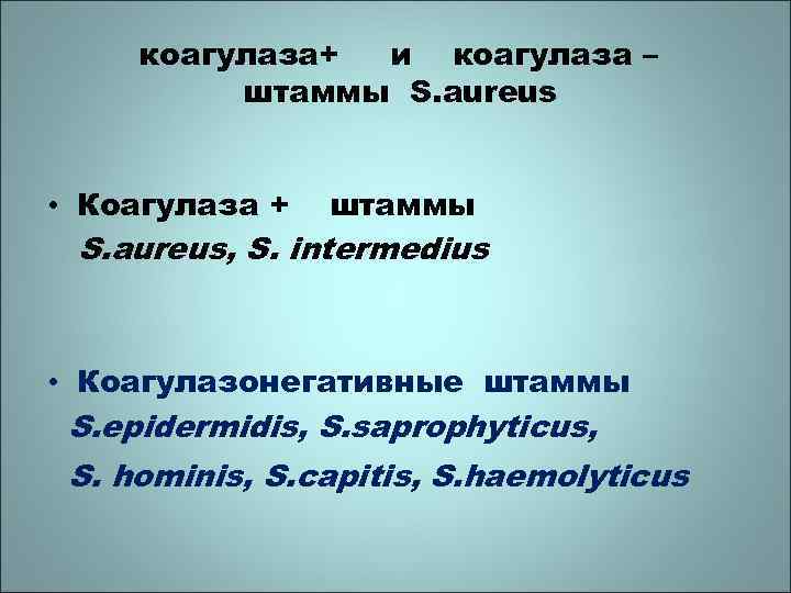 коагулаза+ и коагулаза – штаммы S. aureus • Коагулаза + штаммы S. aureus, S.