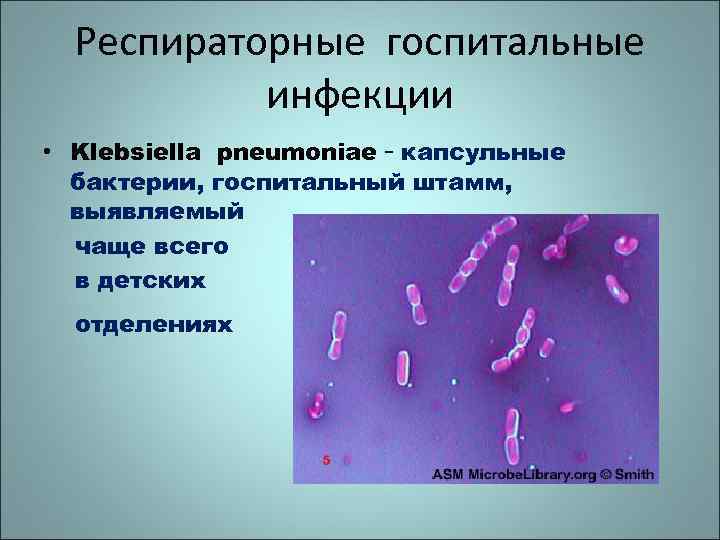 Респираторные госпитальные инфекции • Klebsiella pneumoniae - капсульные бактерии, госпитальный штамм, выявляемый чаще всего