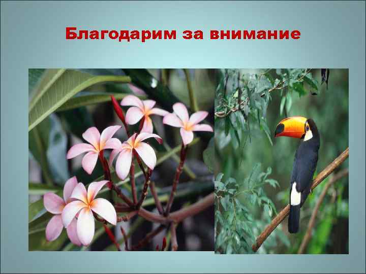 Благодарим за внимание 