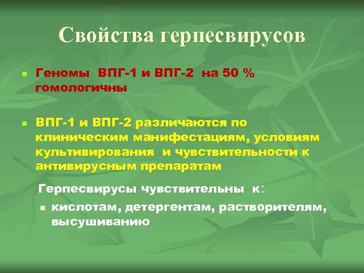 Свойства герпесвирусов n n Геномы ВПГ-1 и ВПГ-2 на 50 % гомологичны ВПГ-1 и