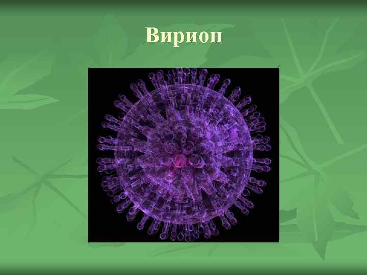 Вирион 