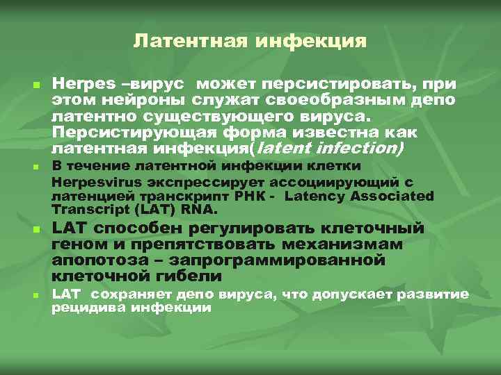 Латентная инфекция n n Herpes –вирус может персистировать, при этом нейроны служат своеобразным депо