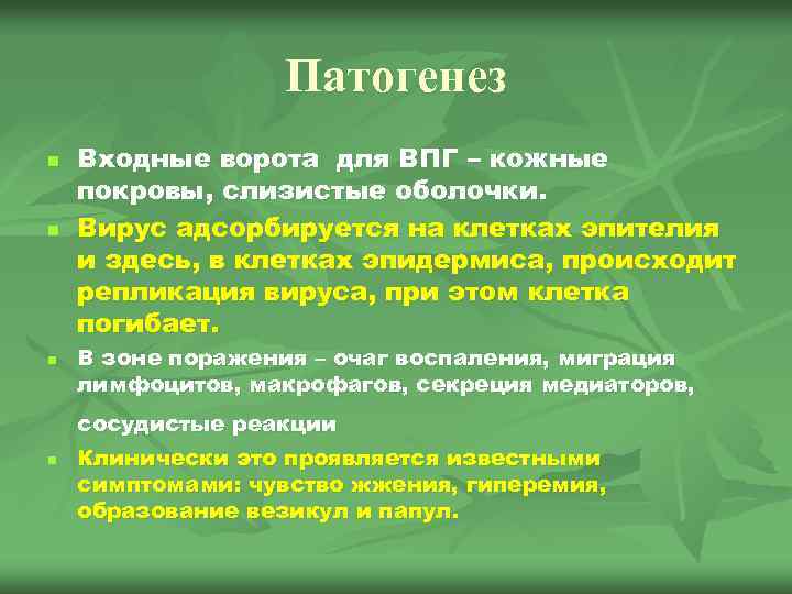 Патогенез n n n Входные ворота для ВПГ – кожные покровы, слизистые оболочки. Вирус