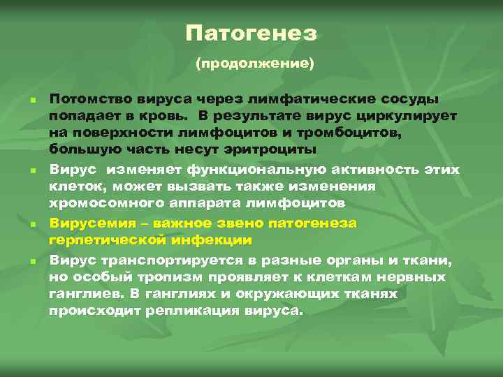 Патогенез (продолжение) n n Потомство вируса через лимфатические сосуды попадает в кровь. В результате