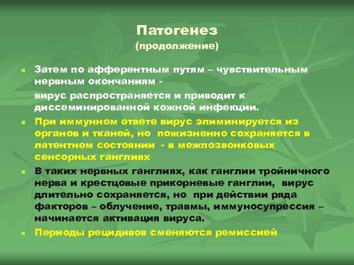 Патогенез (продолжение) n n Затем по афферентным путям – чувствительным нервным окончаниям вирус распространяется