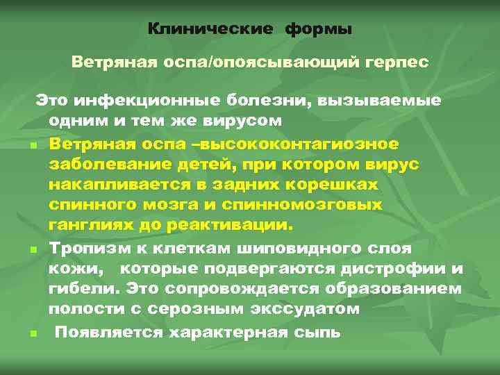 Клинические формы Ветряная оспа/опоясывающий герпес Это инфекционные болезни, вызываемые одним и тем же вирусом