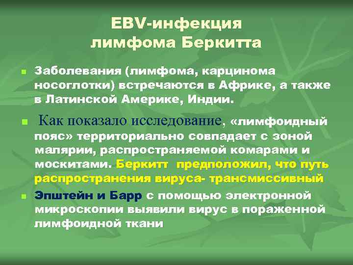 EBV-инфекция лимфома Беркитта n n n Заболевания (лимфома, карцинома носоглотки) встречаются в Африке, а