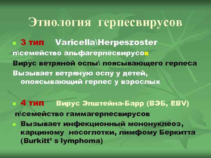 Этиология герпесвирусов n 3 тип VaricellaHerpeszoster псемейство альфагерпесвирусов Вирус ветряной оспы поясывающего герпеса Вызывает