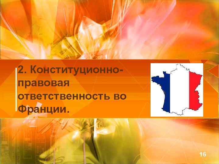2. Конституционноправовая ответственность во Франции. 16 