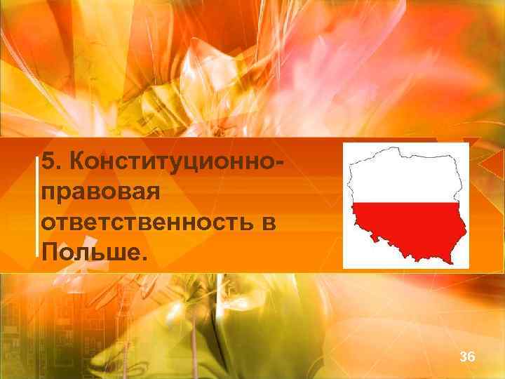 5. Конституционноправовая ответственность в Польше. 36 
