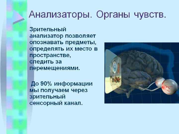 Психофизиология в схемах и комментариях психофизиология