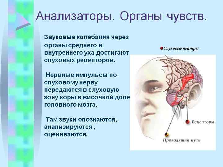 Смена образов при восприятии двойственных изображений связана с законом взаимной