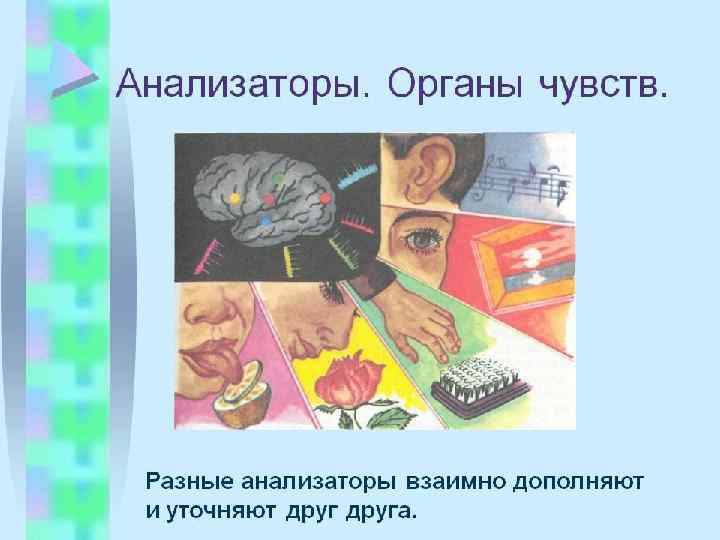 Психофизиология в схемах и комментариях психофизиология