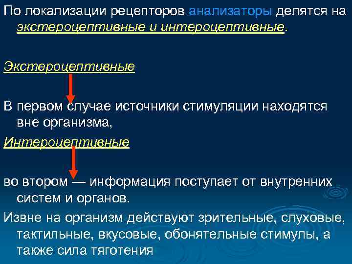 По локализации рецепторов анализаторы делятся на экстероцептивные и интероцептивные. Экстероцептивные В первом случае источники