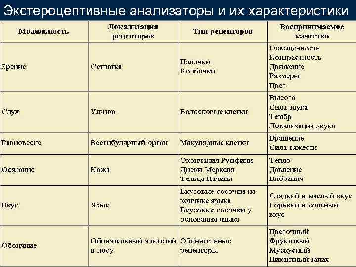 Экстероцептивные анализаторы и их характеристики 