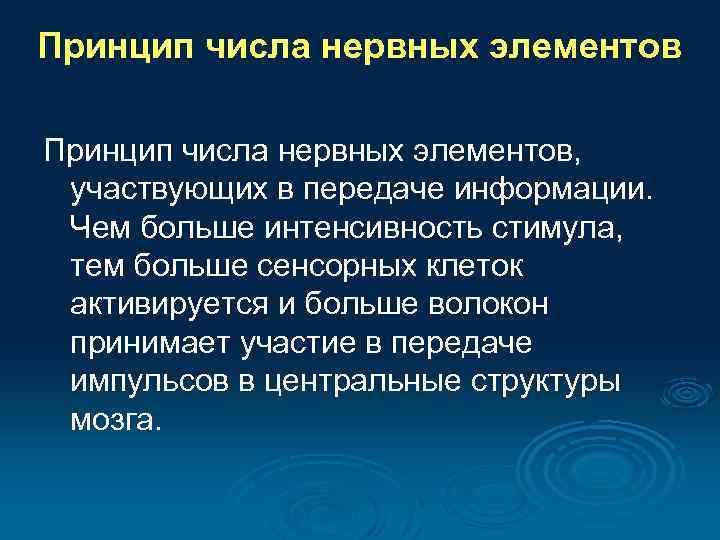 Принцип числа нервных элементов, участвующих в передаче информации. Чем больше интенсивность стимула, тем больше