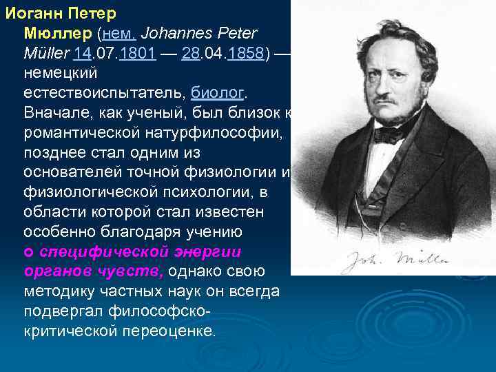 Иоганн Петер Мюллер (нем. Johannes Peter Müller 14. 07. 1801 — 28. 04. 1858)