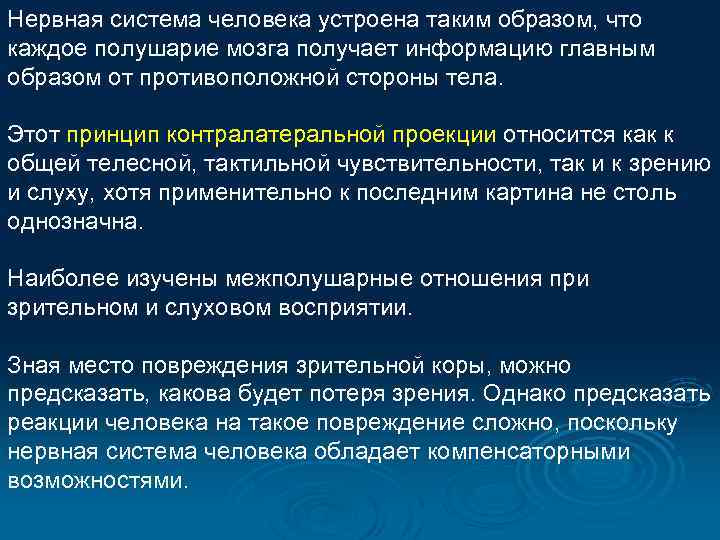 Нервная система человека устроена таким образом, что каждое полушарие мозга получает информацию главным образом