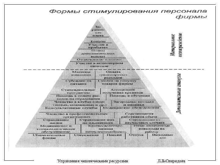 Управление человеческими ресурсами Л. В. Свиридова 