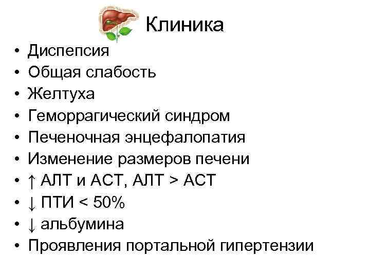 Клиника • • • Диспепсия Общая слабость Желтуха Геморрагический синдром Печеночная энцефалопатия Изменение размеров