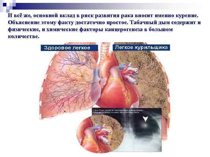 И всё же, основной вклад в риск развития рака вносит именно курение. Объяснение этому