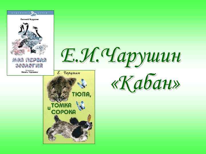 Е. И. Чарушин «Кабан» 