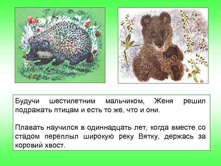 Будучи шестилетним мальчиком, Женя подражать птицам и есть то же, что и они. решил