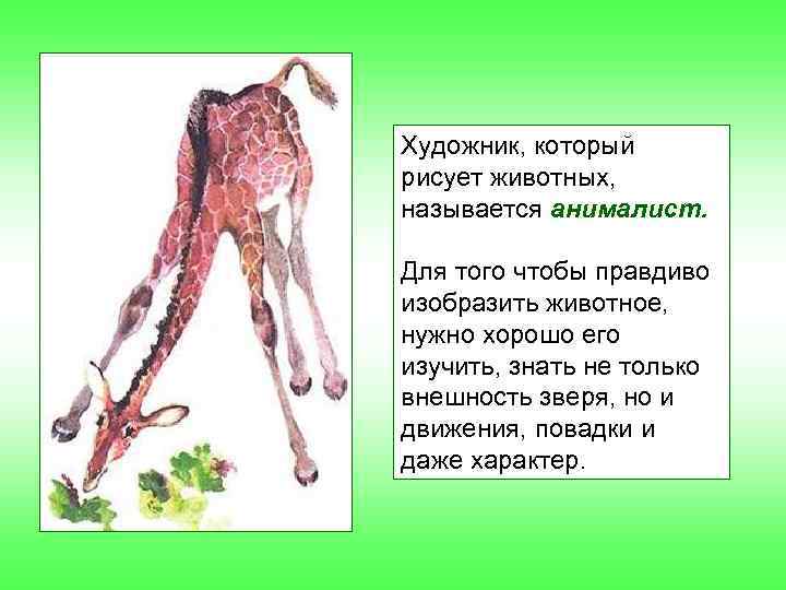 Художник, который рисует животных, называется анималист. Для того чтобы правдиво изобразить животное, нужно хорошо