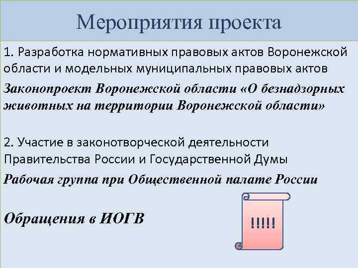 Мероприятия проекта 1. Разработка нормативных правовых актов Воронежской области и модельных муниципальных правовых актов