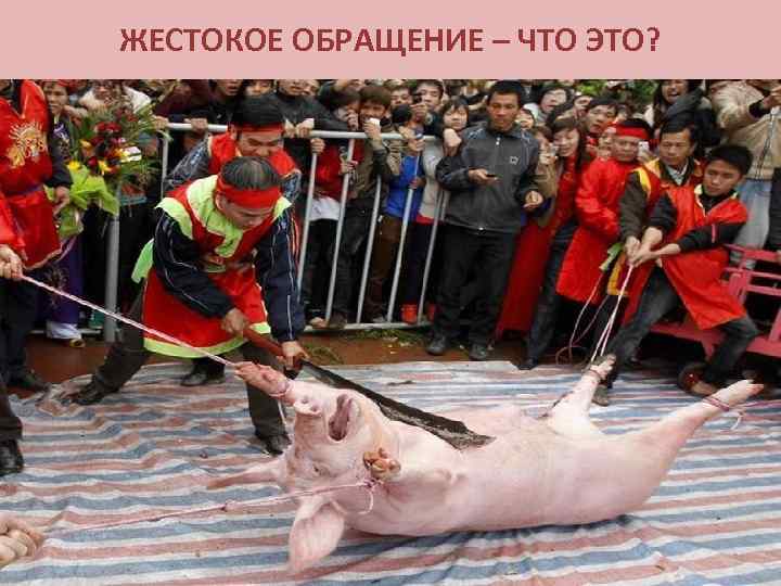 ЖЕСТОКОЕ ОБРАЩЕНИЕ – ЧТО ЭТО? 