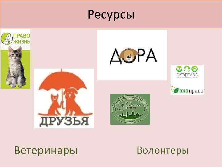 Ресурсы Ветеринары Волонтеры 