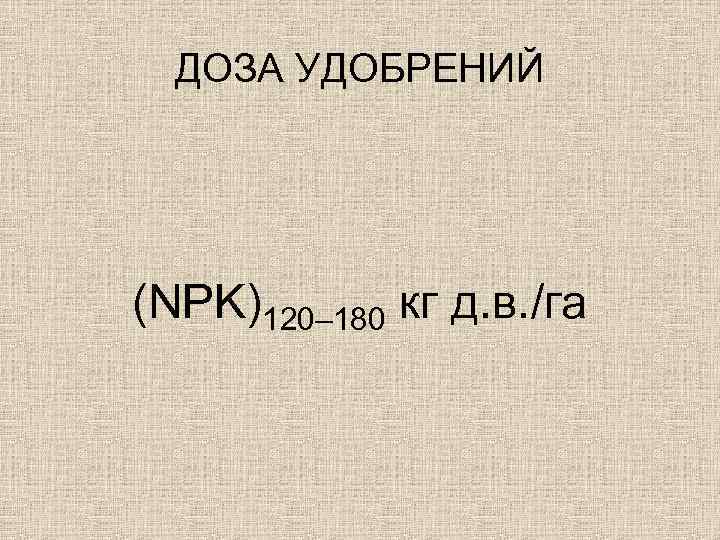 ДОЗА УДОБРЕНИЙ (NPK)120– 180 кг д. в. /га 