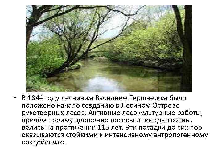  • В 1844 году лесничим Василием Гершнером было положено начало созданию в Лосином