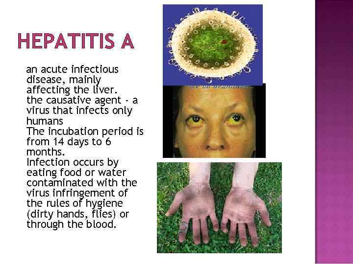 HEPATITIS A an acute infectious disease, mainly affecting the liver. the causative agent -