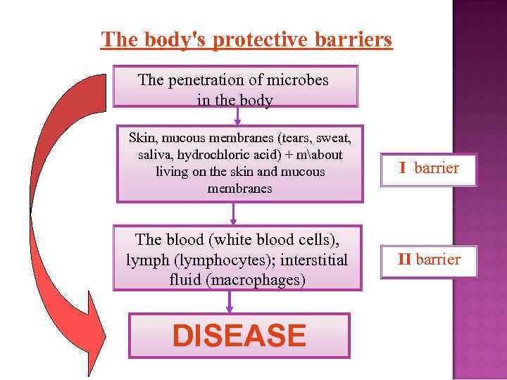 The body's protective barriers The penetration of microbes in the body Skin, mucous membranes