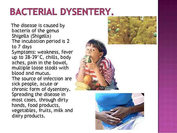 BACTERIAL DYSENTERY. The disease is caused by bacteria of the genus Shigella (Shigella) The