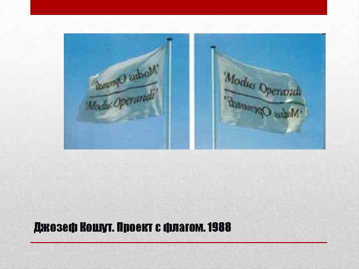Джозеф Кошут. Проект с флагом. 1988 