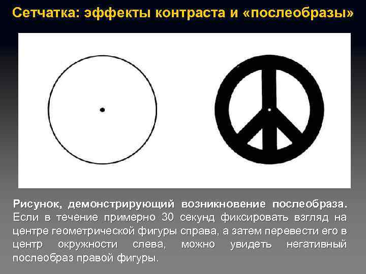Сетчатка: эффекты контраста и «послеобразы» Рисунок, демонстрирующий возникновение послеобраза. Если в течение примерно 30