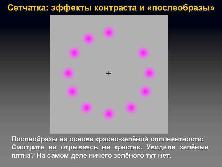 Сетчатка: эффекты контраста и «послеобразы» Послеобразы на основе красно-зелёной оппонентности: Смотрите не отрываясь на
