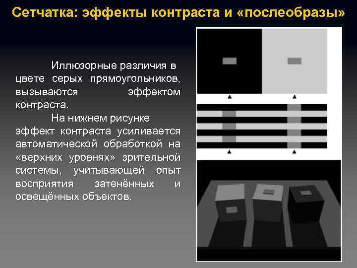 Сетчатка: эффекты контраста и «послеобразы» Иллюзорные различия в цвете серых прямоугольников, вызываются эффектом контраста.