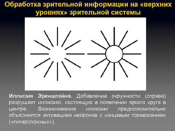 Обработка зрительной информации на «верхних уровнях» зрительной системы Иллюзия Эренштейна. Добавление окружности (справа) разрушает