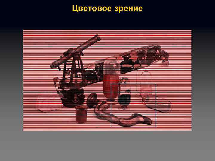 Цветовое зрение 