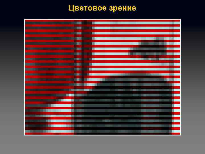 Цветовое зрение 