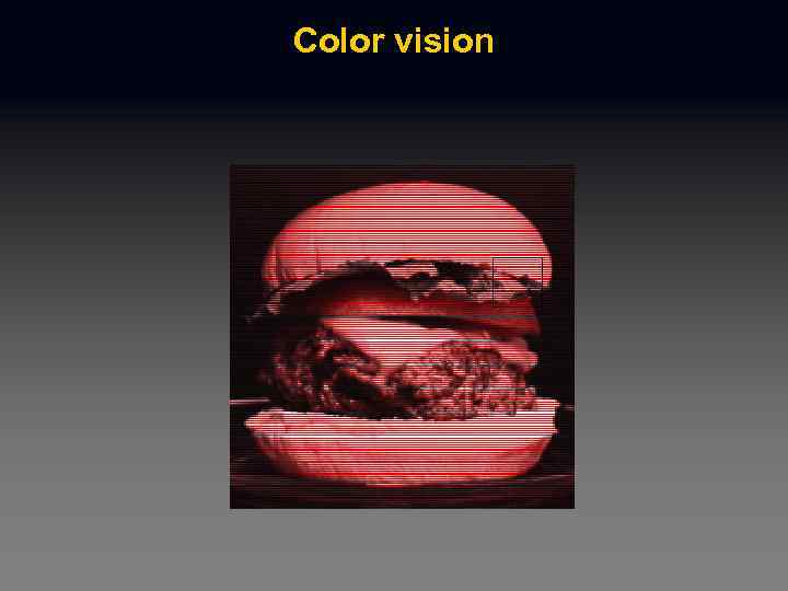 Color vision 