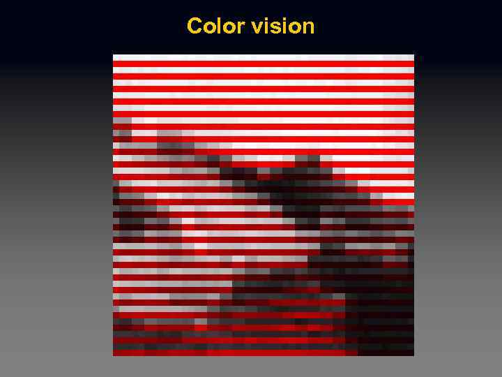 Color vision 