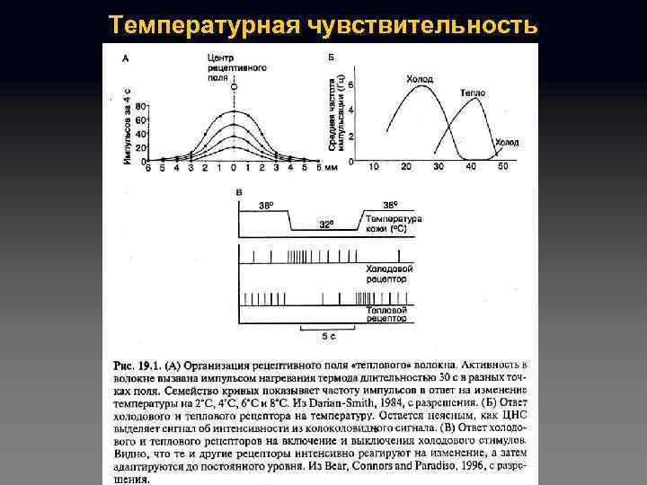 Температурная чувствительность 