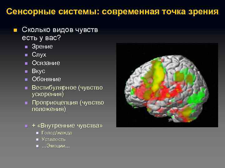 Сенсорные системы: современная точка зрения n Сколько видов чувств есть у вас? n n